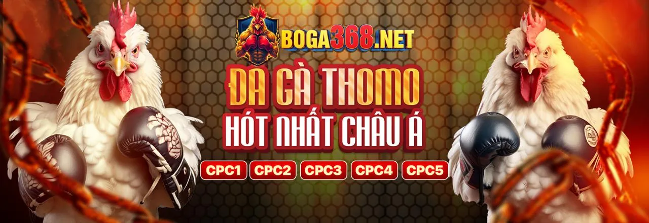 Giao diện ứng dụng MCW Đá Gà trên điện thoại