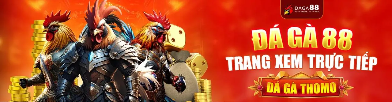 Tổng quan về đá gà MCW cho người mới bắt đầu